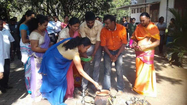 Thaipongal Festival 2019